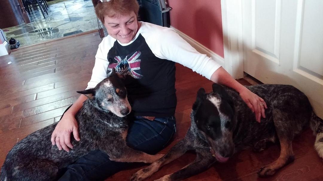 My Bandit and our new addition Beauty