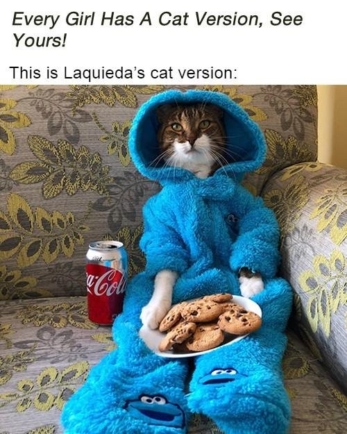 this is how I live every day now.