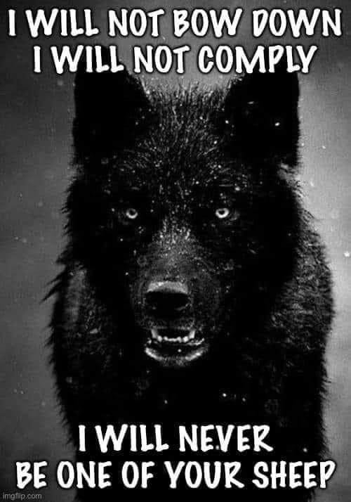 I may be in my twilight years but I agree 100%!!