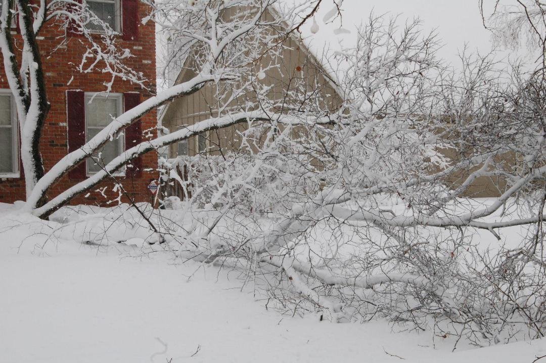 Tim McCuiston's album, Kansas City snowmageddon 2013