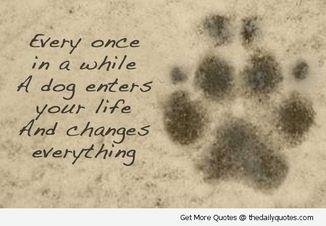 For our Toby, you were loved