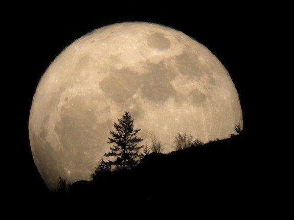 Pat Carberry's album, Timeline Photos