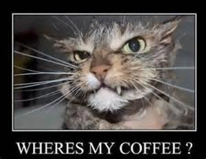 This one is for you, Jennifer...   hehehe