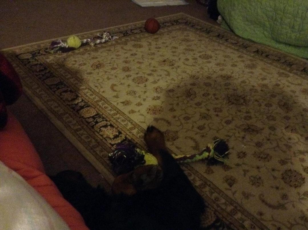 Bud played till he couldn't play no more....lol