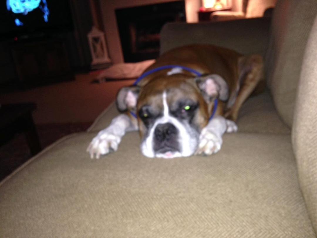 Frank Giunta's album, Mobile Uploads