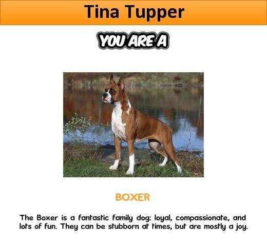 Click here to find out \" What kind of DOG You Are \" ====> http://bit.ly/Jeko67