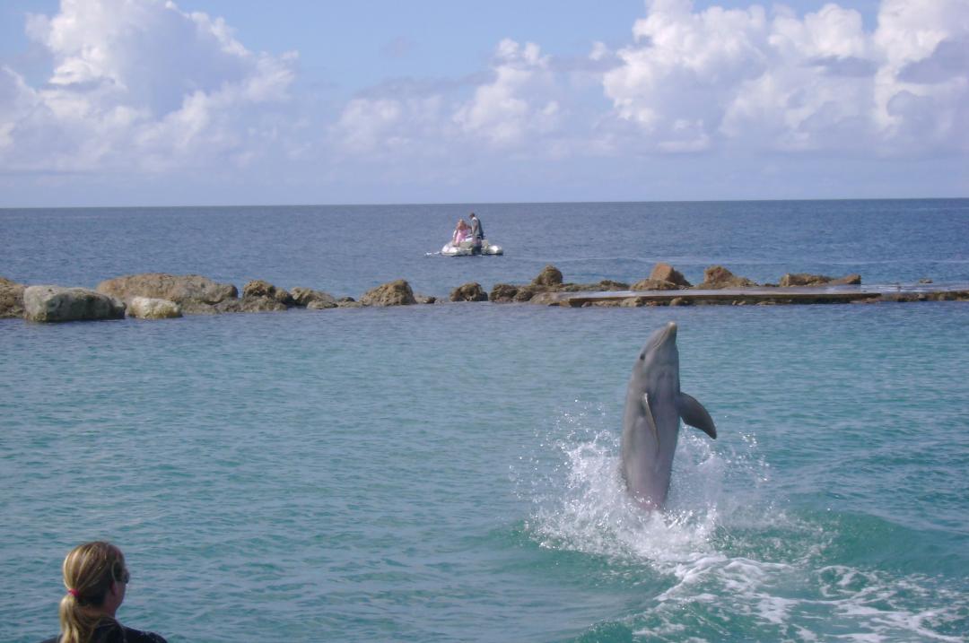Greg Bittinger's album, Carribean Cruise 2010