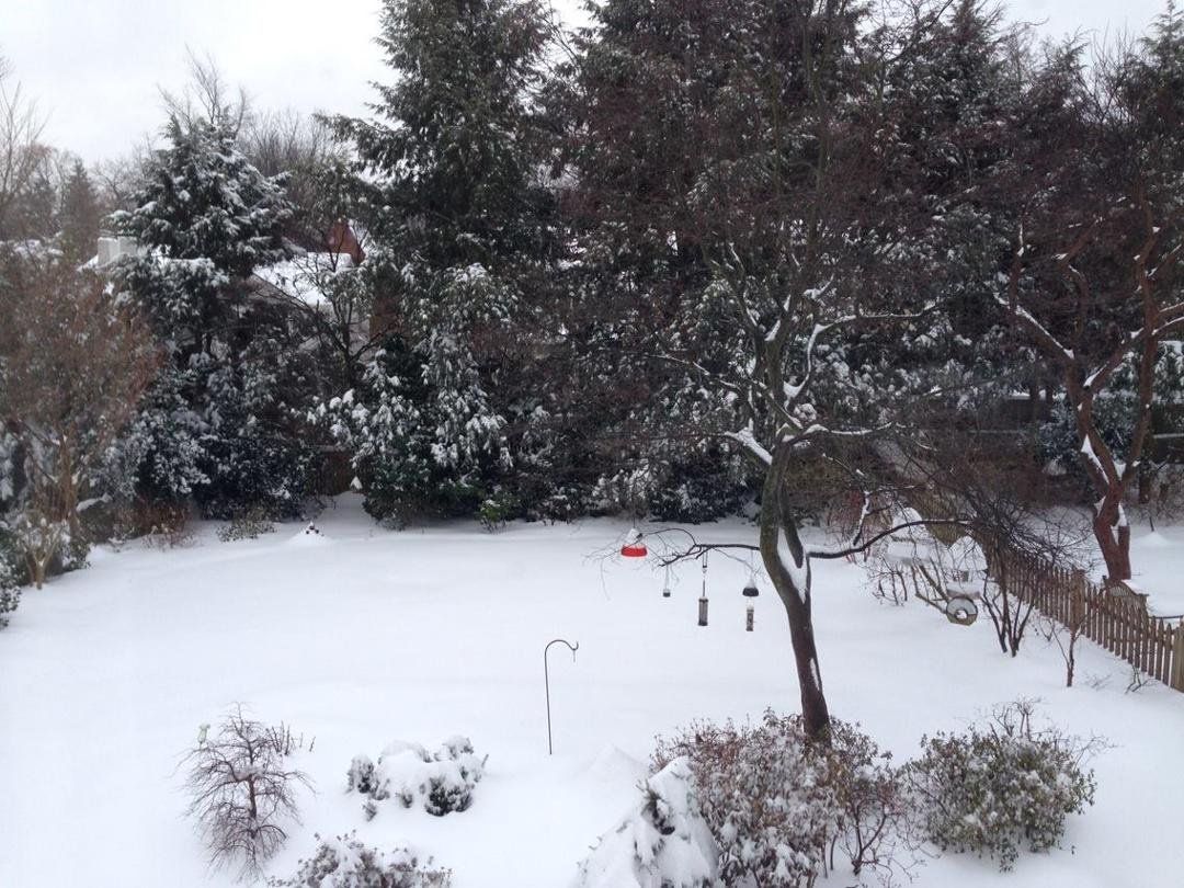 From an upstairs window @ 8 AM