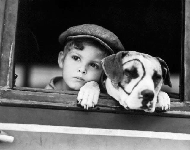 Dickie Moore with Pete the Pup in "Our Gang" in 1930.
RIP Sept. 7th 2015. Petey , I believe is gone, too.