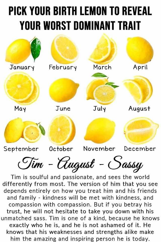 Timothy Williams' album, Timeline Photos