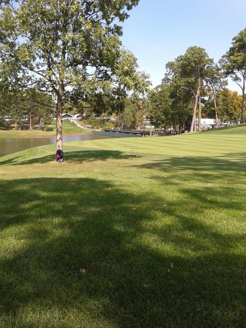 Live at the Ryder cup. 14th fairway looking back toward the tee.