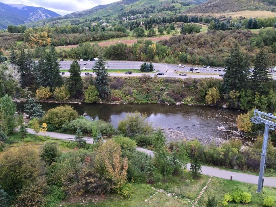 Can't believe I didn't bring my fly rod