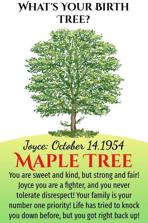 Joyce Cullen's album, Timeline photos