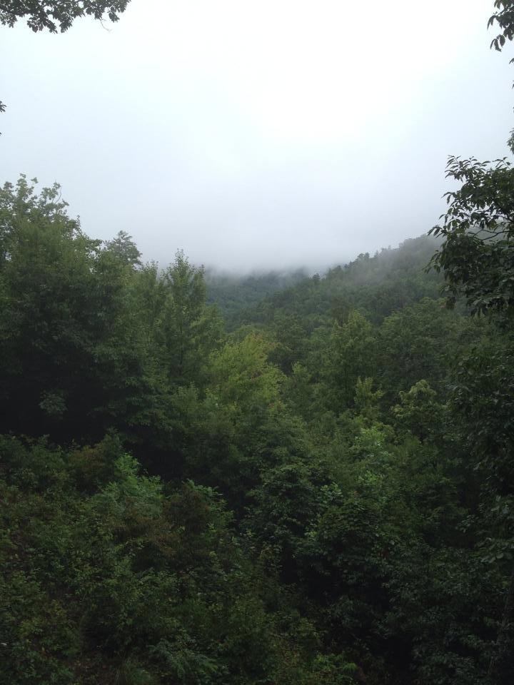 Came down out of the clouds Sunday am as our time in the "foothills" came to an end. As many of you commented, it was beautiful!