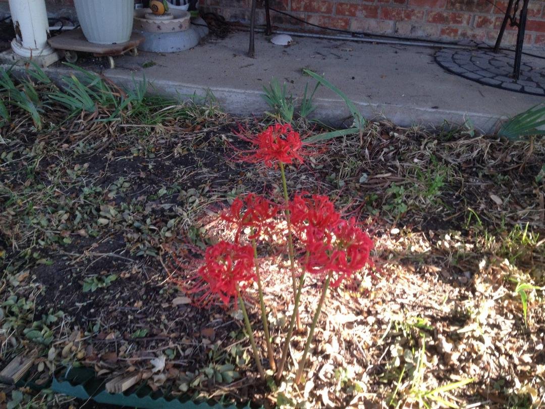 John Webb's album, Timeline Photos