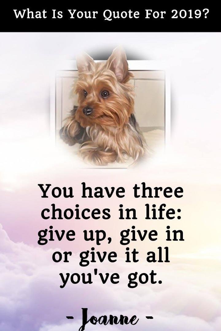 Joanne Bailey's album, Timeline Photos