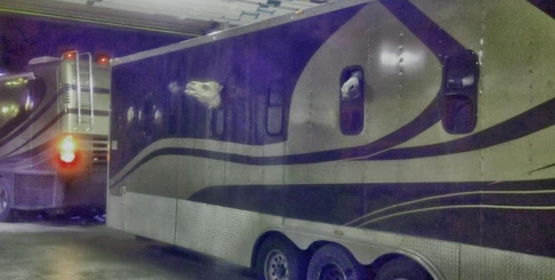 What day is it? It's Hump Day! This is the first load of animals with Ringling Brothers that pulled into Cross Insurance Center Monday. 3 camels, 2 horses, 3 or 4 mini horses, and tons of dogs -- at least 11. All in thi