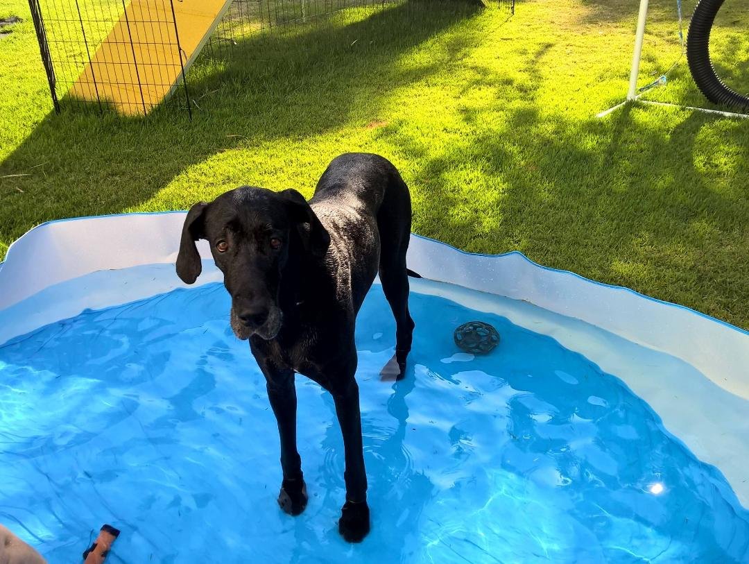 Ali playing in the baby pool