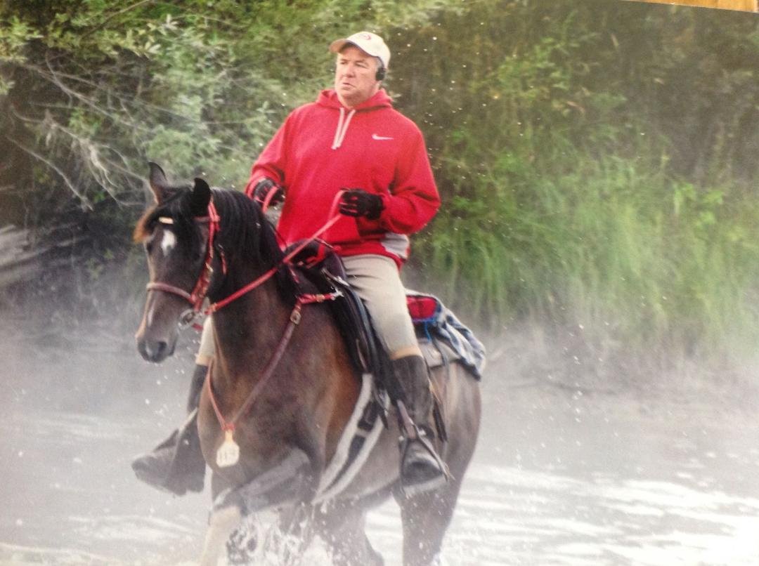 Finished 560 miles this season on this bad ass horse Asad Wazim. Can't wait for next season. Meanwhile sitting in Hawaii resting my sore ass.