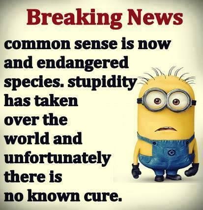 Glen Johnson's album, Timeline Photos
