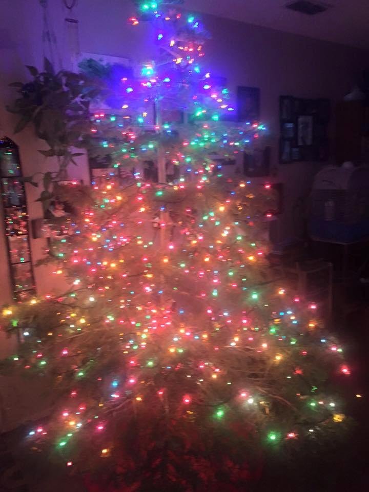 Linda Miller's album, Mobile Uploads