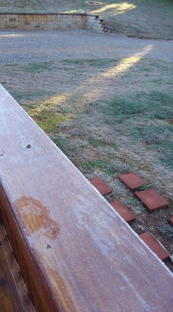 Yes, Jack Frost made a visit last night...