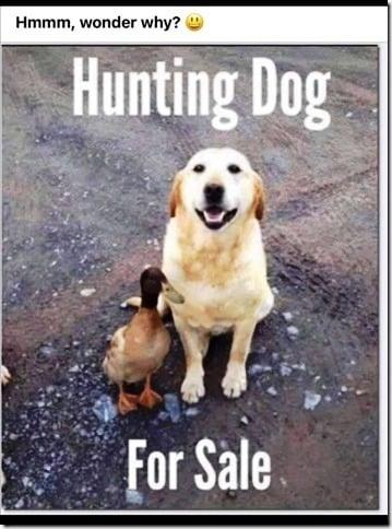 Danny Mack's album, Timeline photos