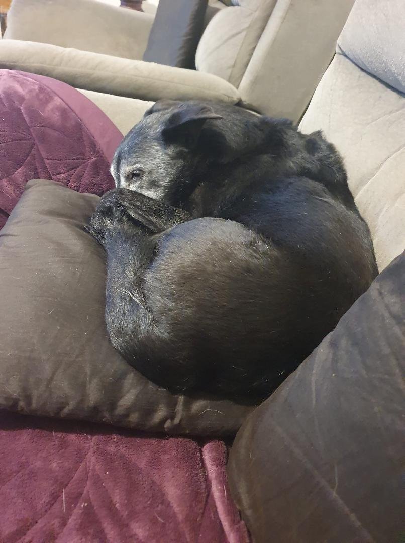 Me best friend Reggie, he,ll be 16 in a few weeks