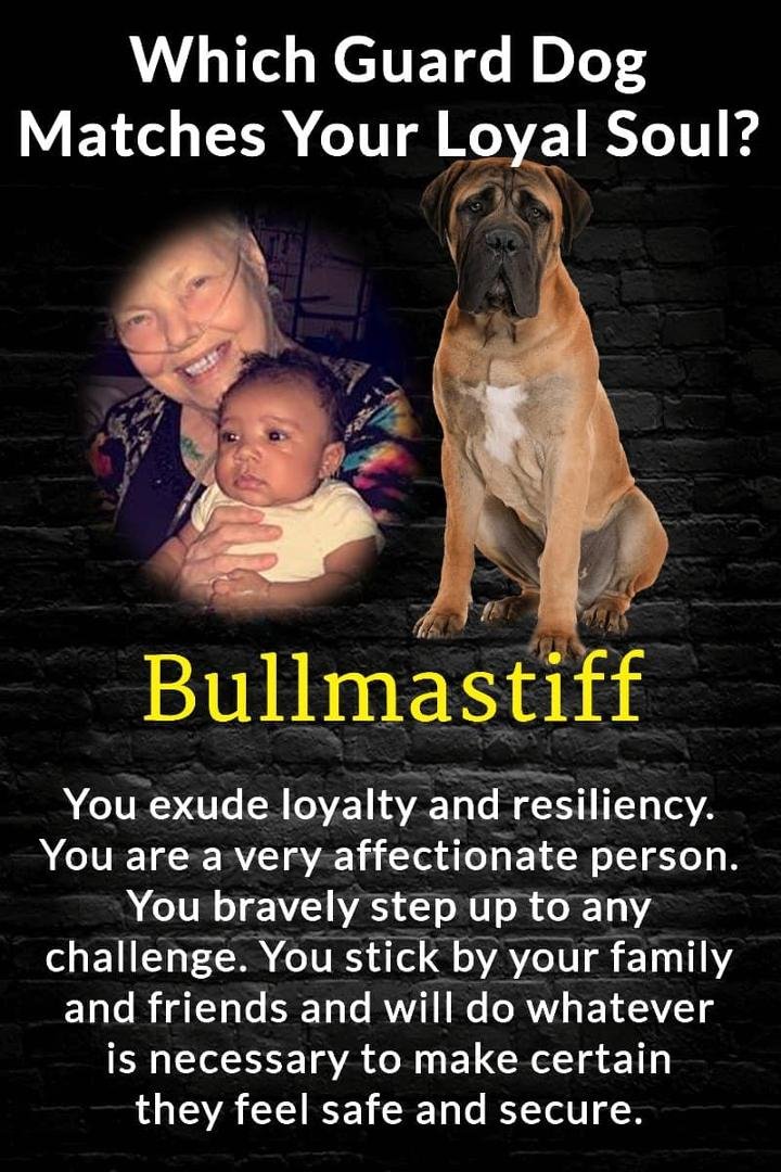 Marsha Shortland's album, Timeline Photos