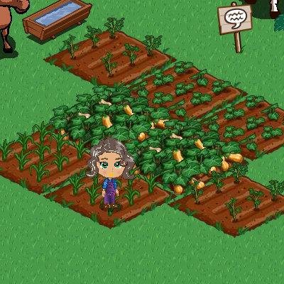 - FarmVille: http://apps.facebook.com/onthefarm/?ref=takePhoto&visitId=100000212241398