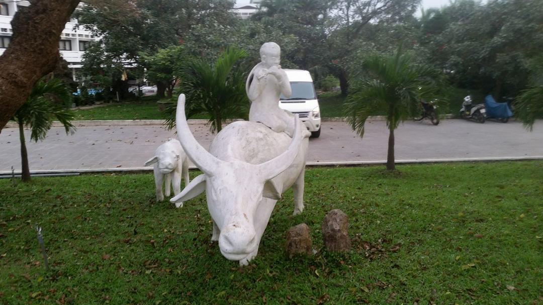 The legendary water buffalo boy, complete with flute. Traveling Highway 1 north young boy driving three water buffalo down the middle of the road in the other direction busiest Highway in Vietnam. Some things remain delight