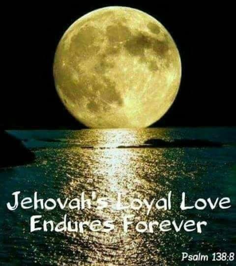 Good night all.
