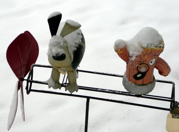 These guys will never be the same. When the wind blows, these guys go 'round and 'round.