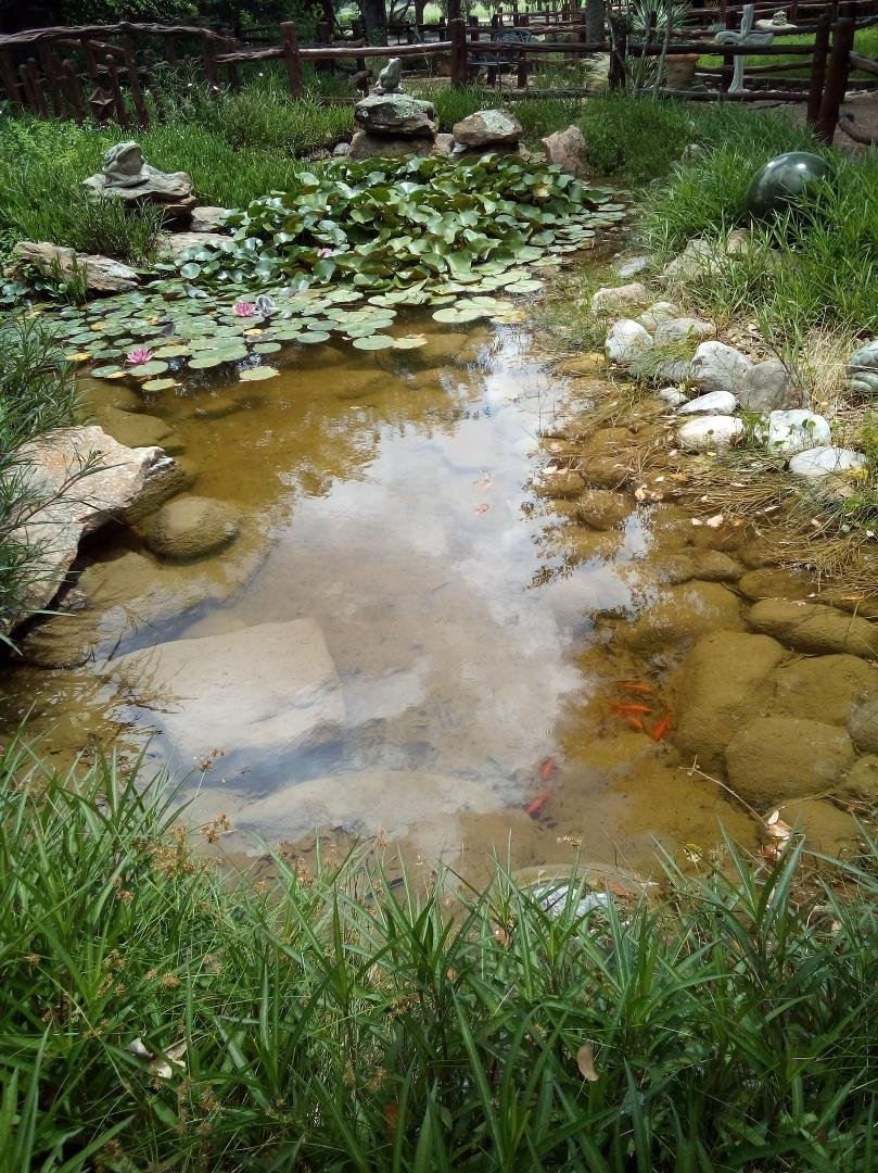 A little spring I came across!