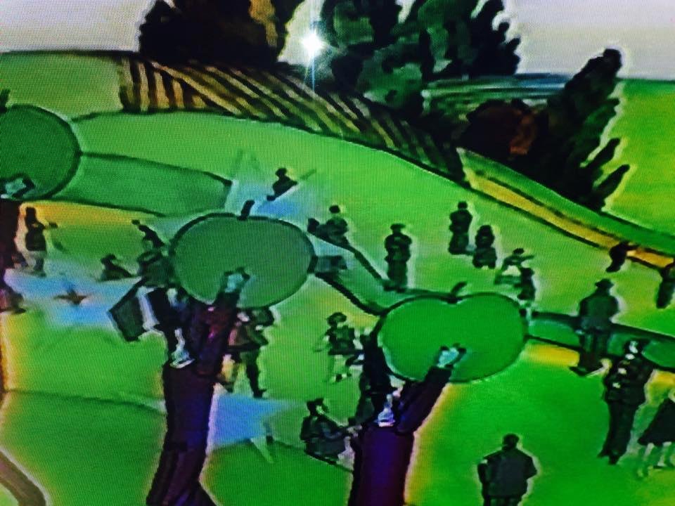 Watching "Yellow Submarine" this morning!