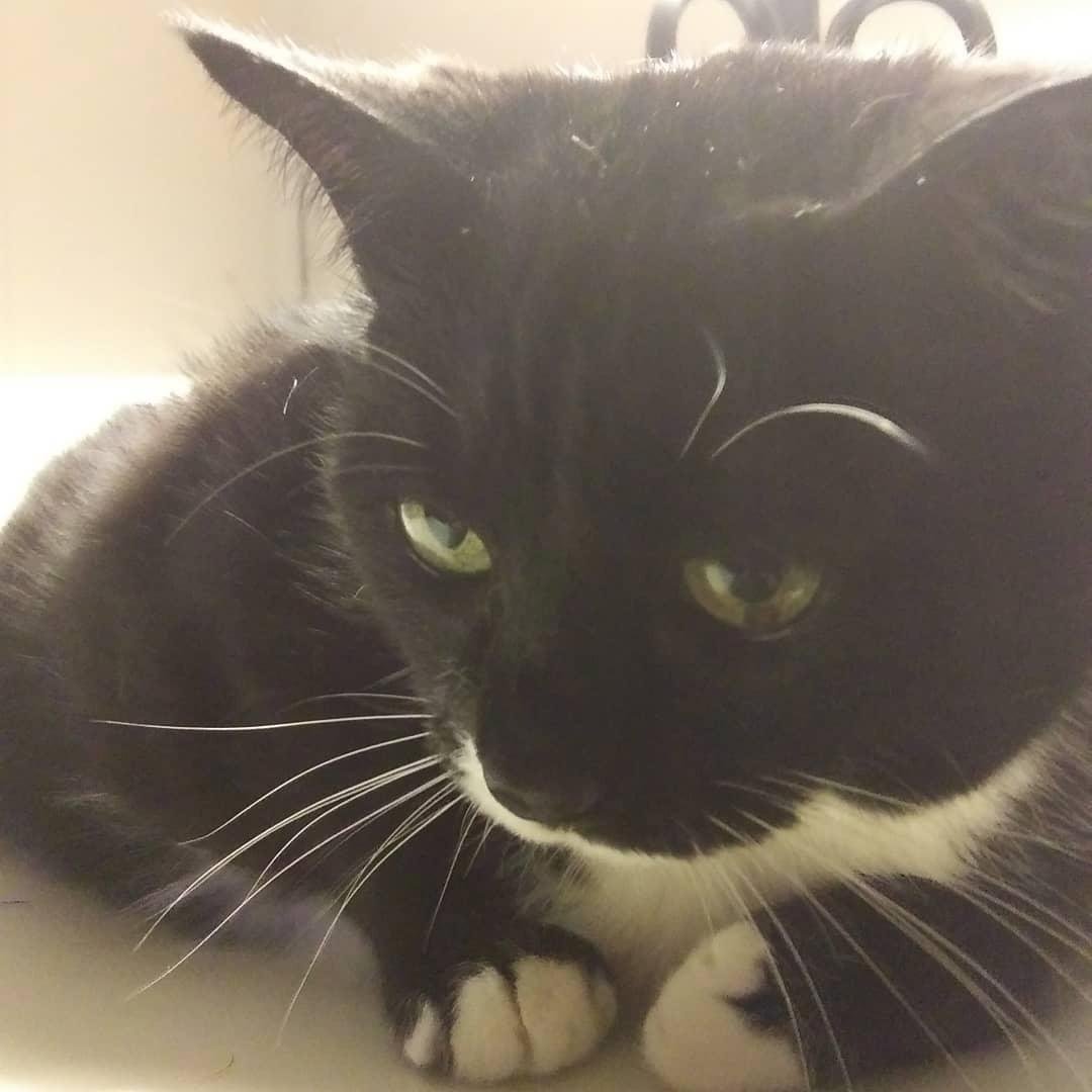 Steve Shives' album, Timeline Photos