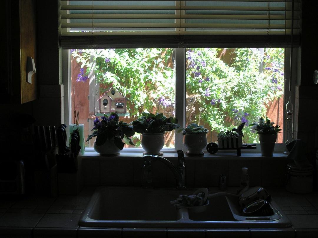 A view from the kitchen window