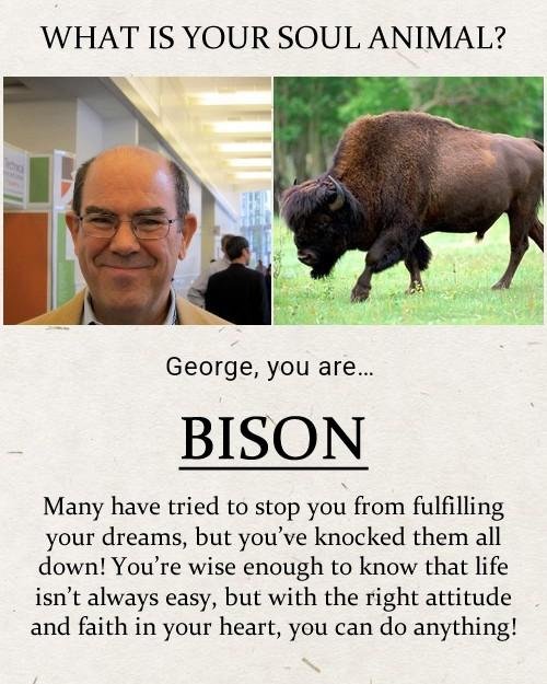 George Dore's album, Timeline photos