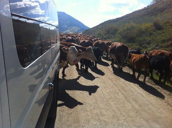 Great weekend in Crested Butte mountain biking with friends. Some serious traffic jams though...