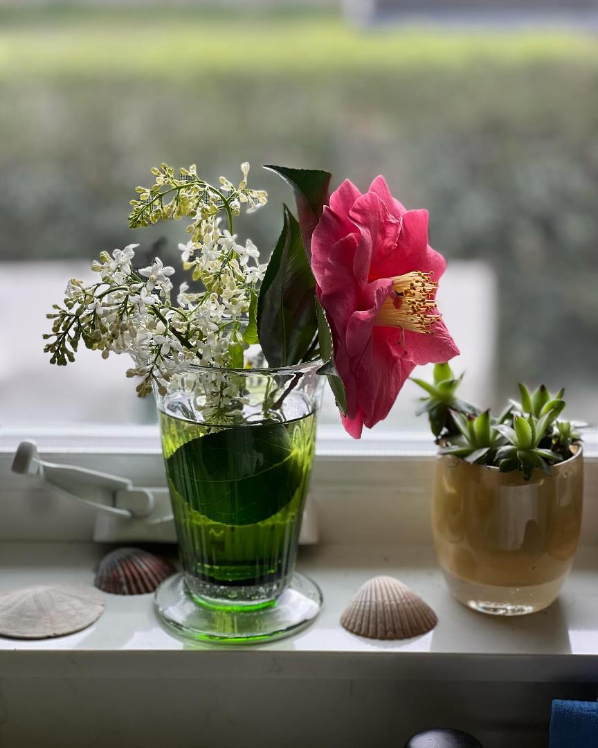 Winter memories and spring possibilities….