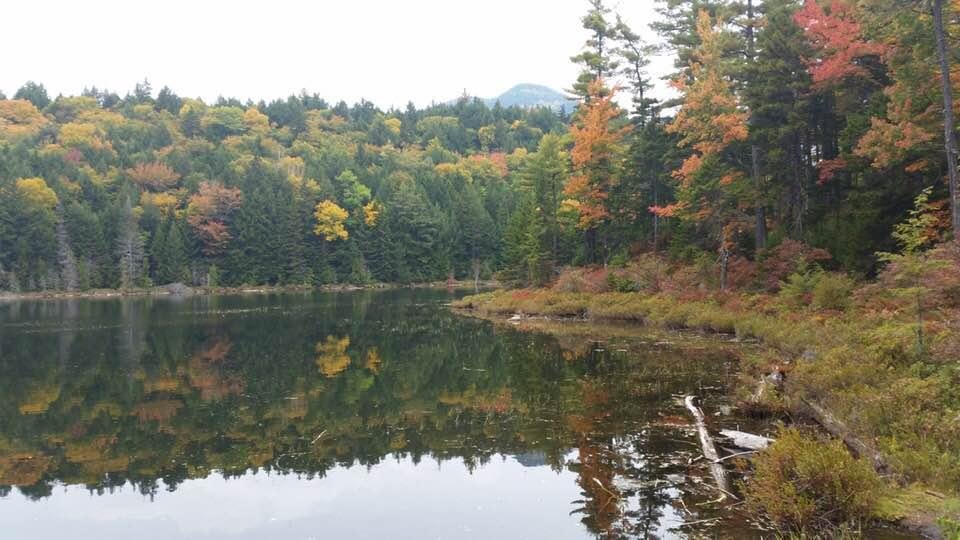 Love this time of the year in New Hampshire!