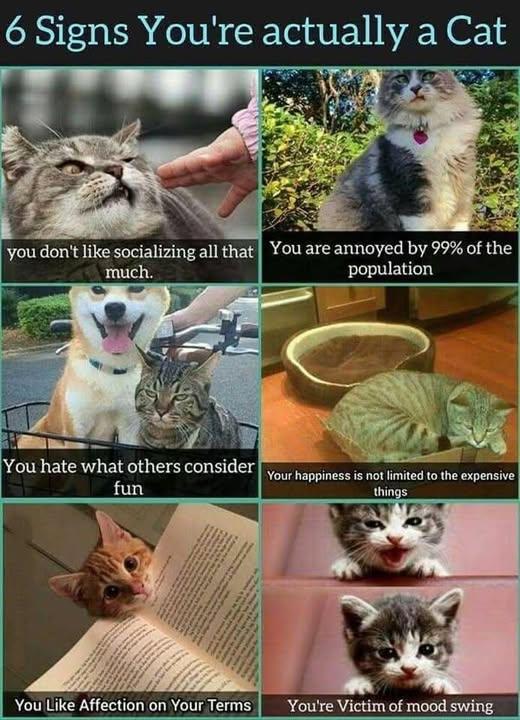 Gavin Bamber's album, Timeline photos