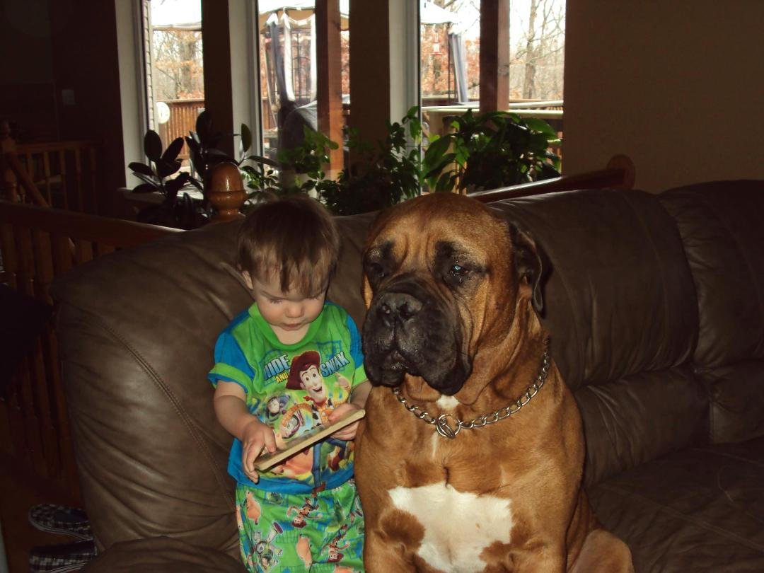 This is little Rodney reading to Max about year ago I just had to re post this one