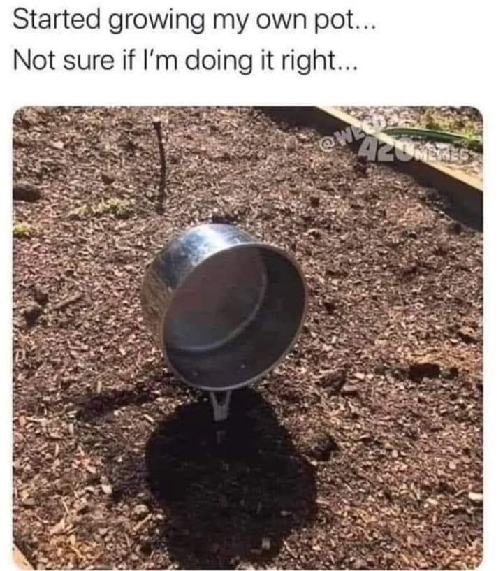 🤣🤣🤣🤣🤣
