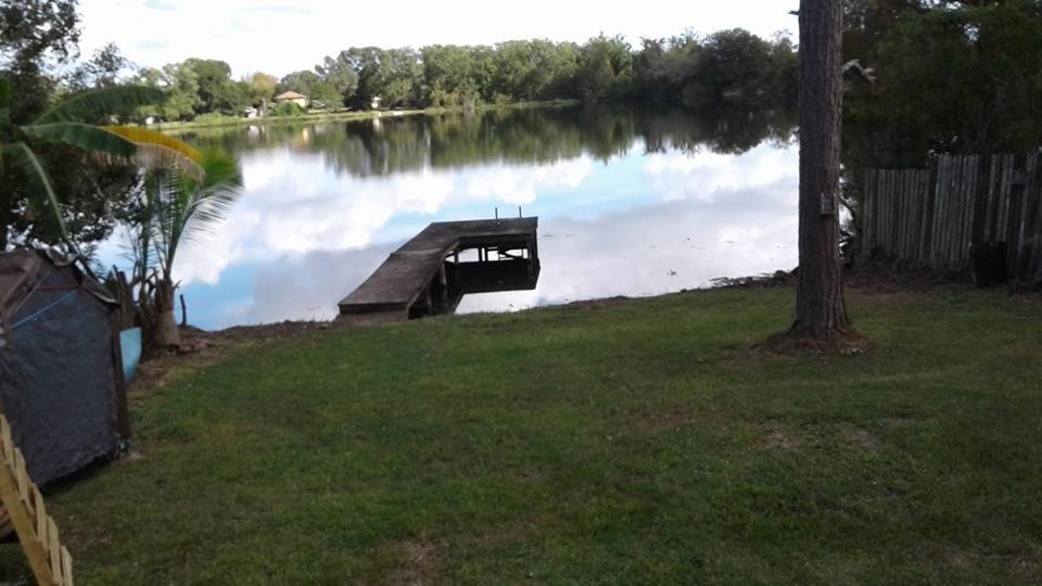 Ellen Hone's album, Mobile Uploads