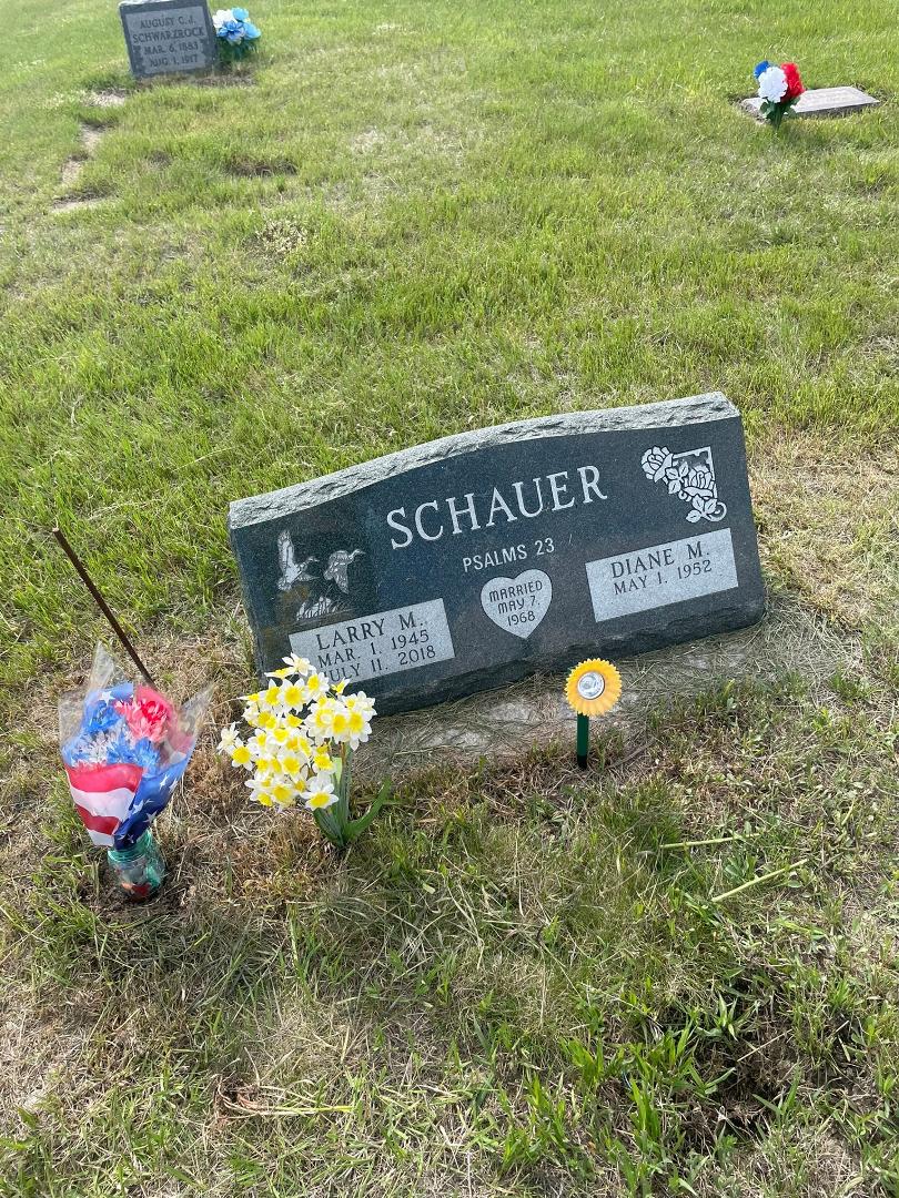 Diane Schauer's album, Mobile uploads
