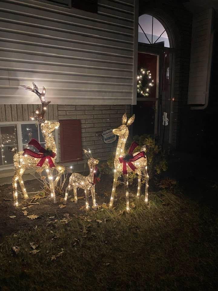 Set up some Christmas decorations