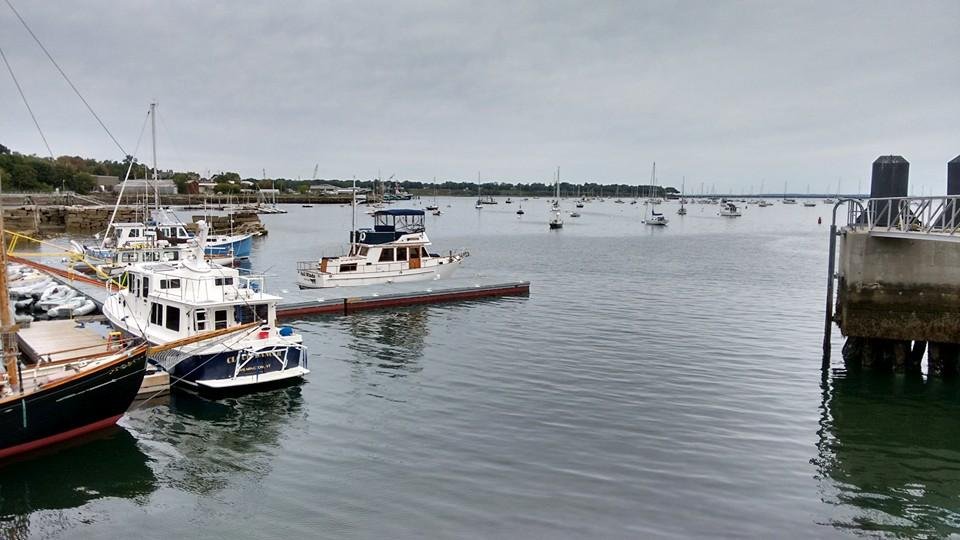 More pictures from the coast.