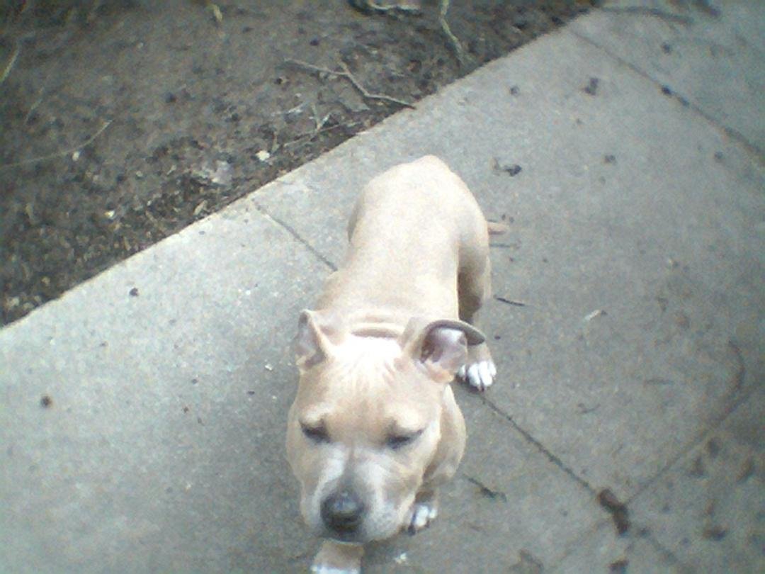 My Big headed Leyla. RUF, RUF