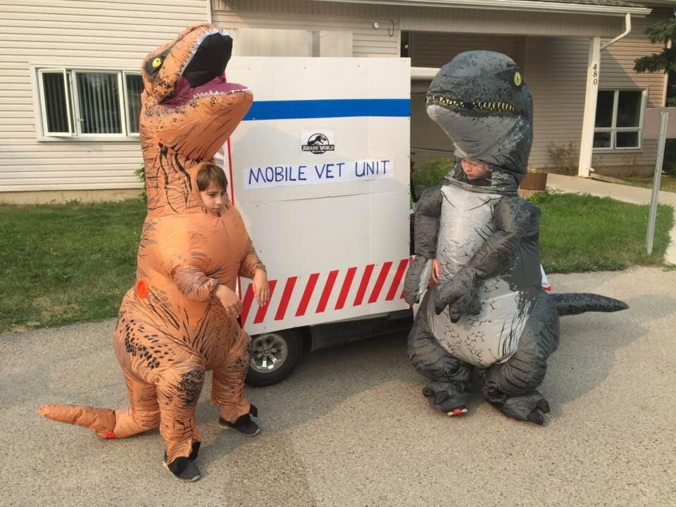 My grandsons and my decorated golf cart ready for the Pincher Creek Rodeo parade.